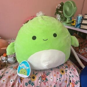 Antoni Turtle Squishmallow